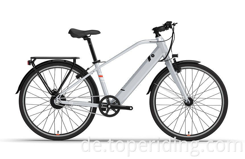 Electric City Bike Lc01
